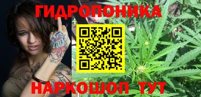 скорость Пугачёв