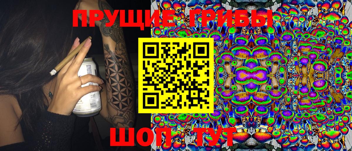 Галлюциногенные грибы ЛСД  Галлюциногенные грибы Psilocybine cubensis  Вход с VPN  Анжеро-Судженск 