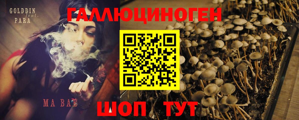 Псилоцибиновые грибы мицелий Анжеро-Судженск